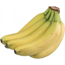   NFU Bio Bananen Fair Trade 1 kg 