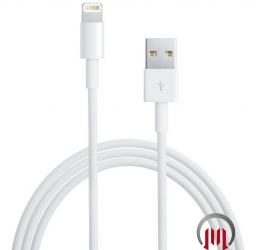  Apple  Apple Lightning auf USB Kabel 1mtr MD818ZM/A 