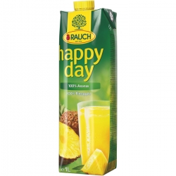   12 Pkg. Happy Day Ananas 100% 1l 