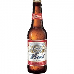   4 Pkg. American Bud Bier 6x0,33l 