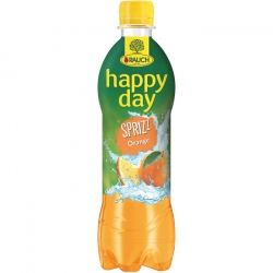   12 Fl. Happy Day Spritzer Orange PET 0,5l 